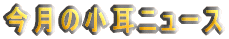 �����̏����j���[�X 