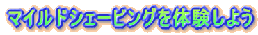 �}�C���h�V�F�[�r���O���ĉ��H